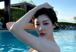 网红大鹅陈妍染 热门大瓜有哪些,揭秘网红大鹅的火爆瞬间与热门大瓜